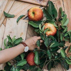 LA CURE DE PRINTEMPS : MODE D'EMPLOI